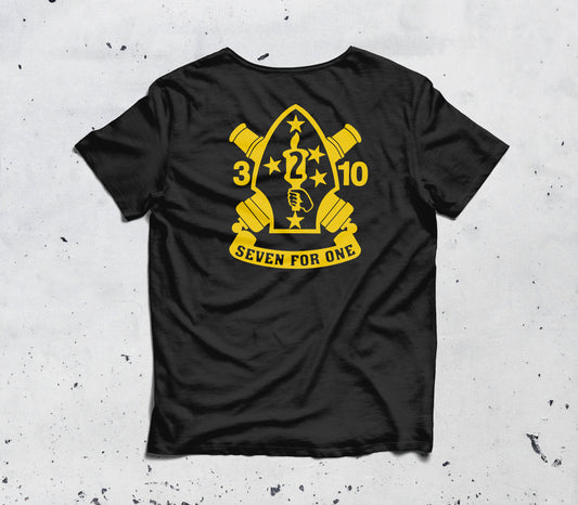 3rd Battalion 10th Marines, 2nd Marine Division