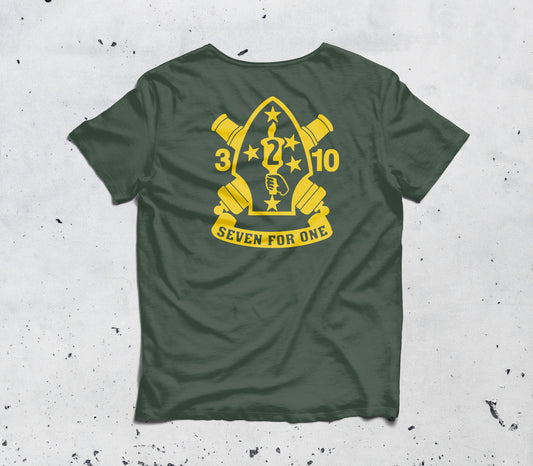 3rd Battalion 10th Marines, 2nd Marine Division