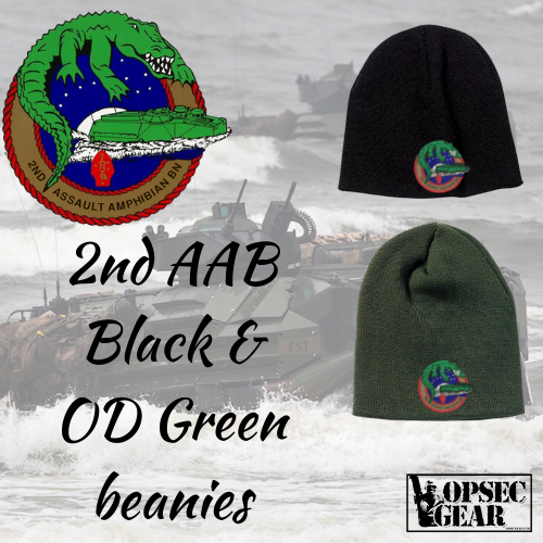 2nd AAB USMC Embroidered Beanie