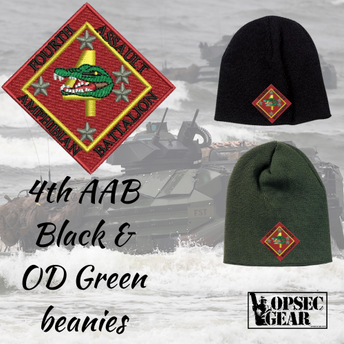 4th Amphibian Assault Battalion Beanie